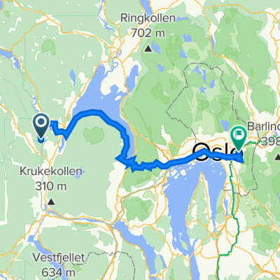 Bergen-Oslo_009a