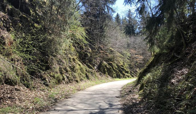Photo 1 of the Bikemap route "[DAY 5] Bastogne - Useldange"