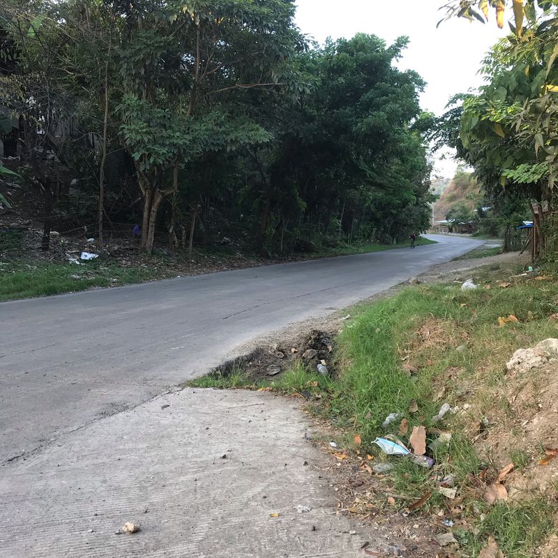 Weekday Short Ride
