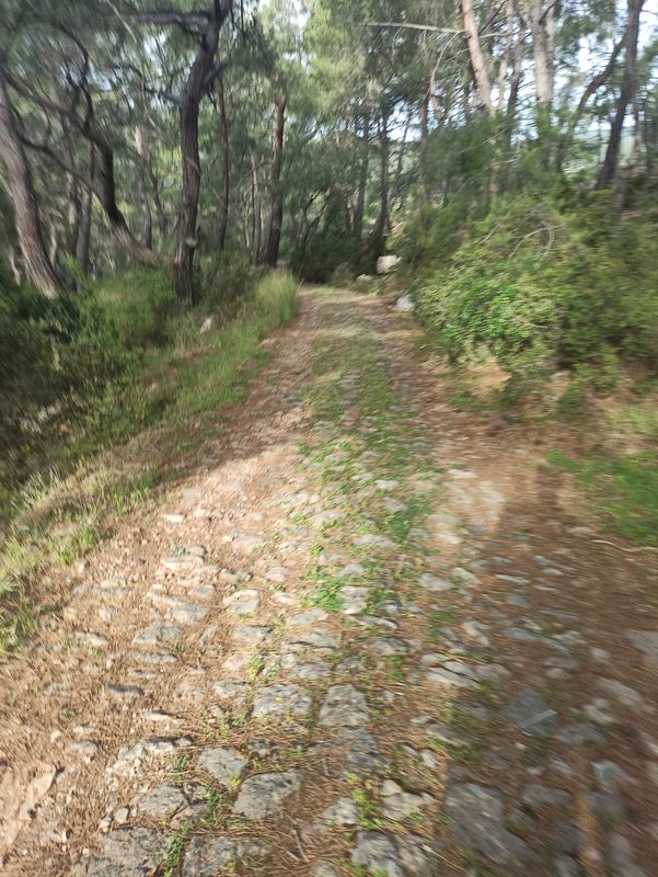 Ovacık / Kayaköy loop