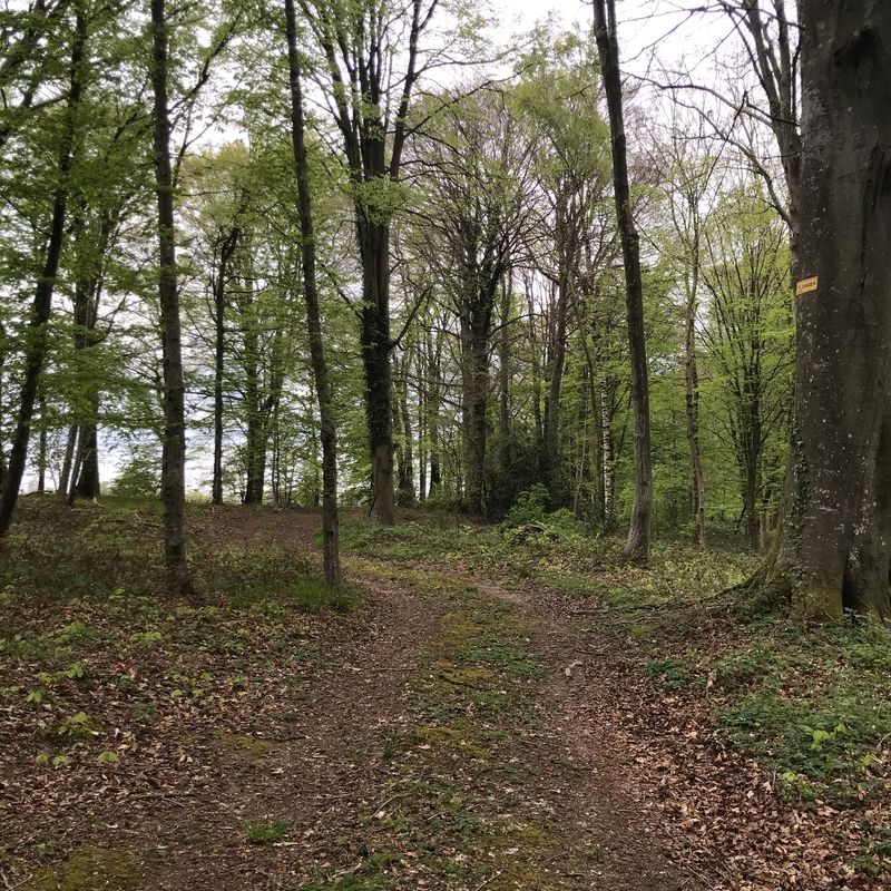 Itinéraire vers 1 Rue de la Varenne, Outrebois