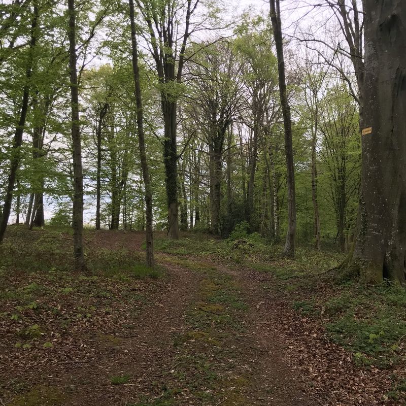 Itinéraire vers 1 Rue de la Varenne, Outrebois