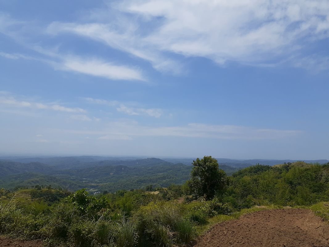mt.colomo