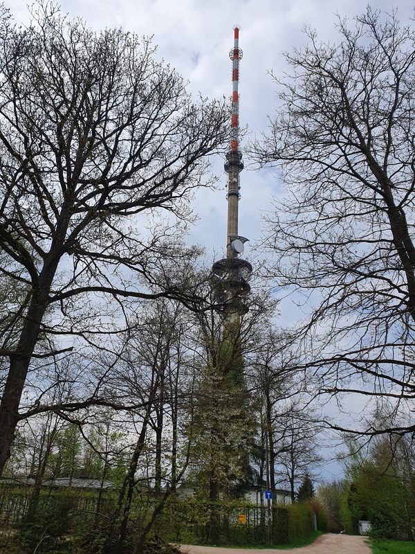 Tegernheim Mountainbiken