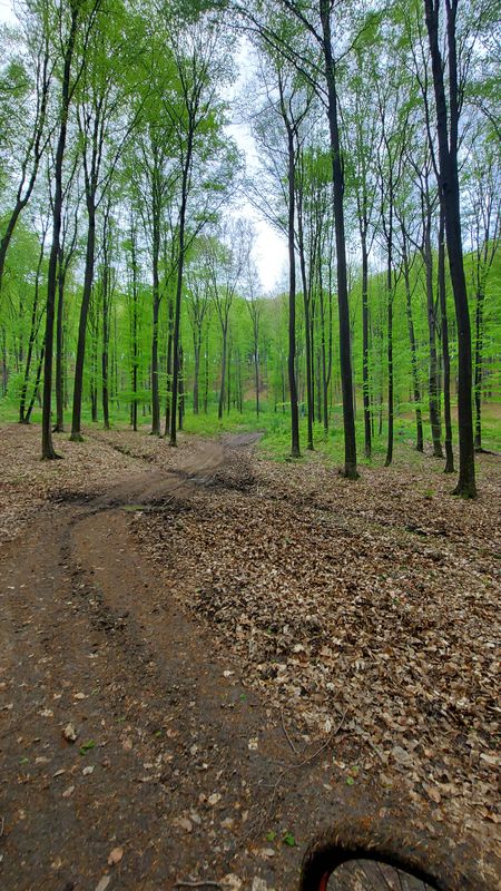 Bacau-Fantanele-Garleni #no_pushbike #resistance