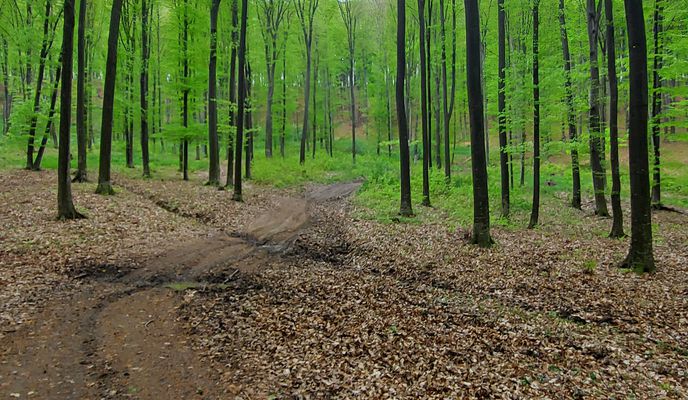 Photo 2 of the Bikemap route "Bacau-Fantanele-Garleni #no_pushbike #resistance" Photo 2 of the Bikemap route "Bacau-Fantanele-Garleni #no_pushbike #resistance"