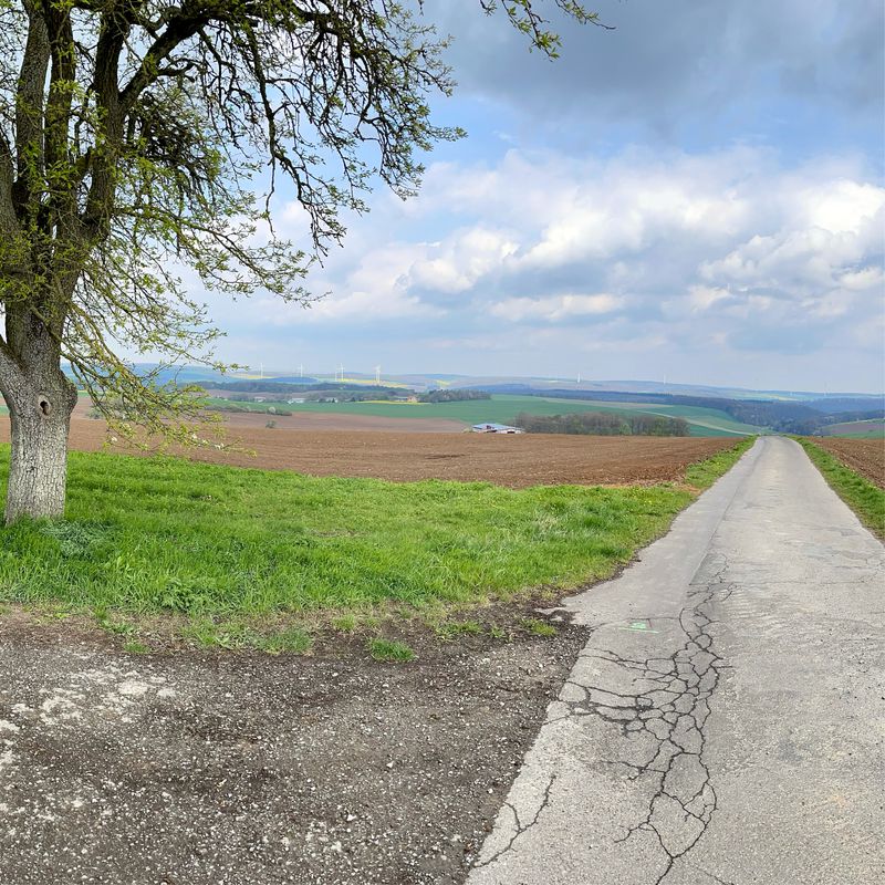 Hof Baiertal Tour