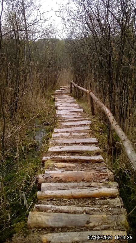 Wanderung: Schwarzer See und Hohe Burg