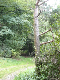 Hebe Bild 4 entlang der Bikemap-Route "Trebgast - Oberlaitsch - Windrad - Ramsenthal - Harsdorf" hervor