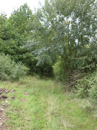 Hebe Bild 3 entlang der Bikemap-Route "Trebgast - Oberlaitsch - Windrad - Ramsenthal - Harsdorf" hervor