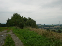Hebe Bild 2 entlang der Bikemap-Route "Trebgast - Oberlaitsch - Windrad - Ramsenthal - Harsdorf" hervor