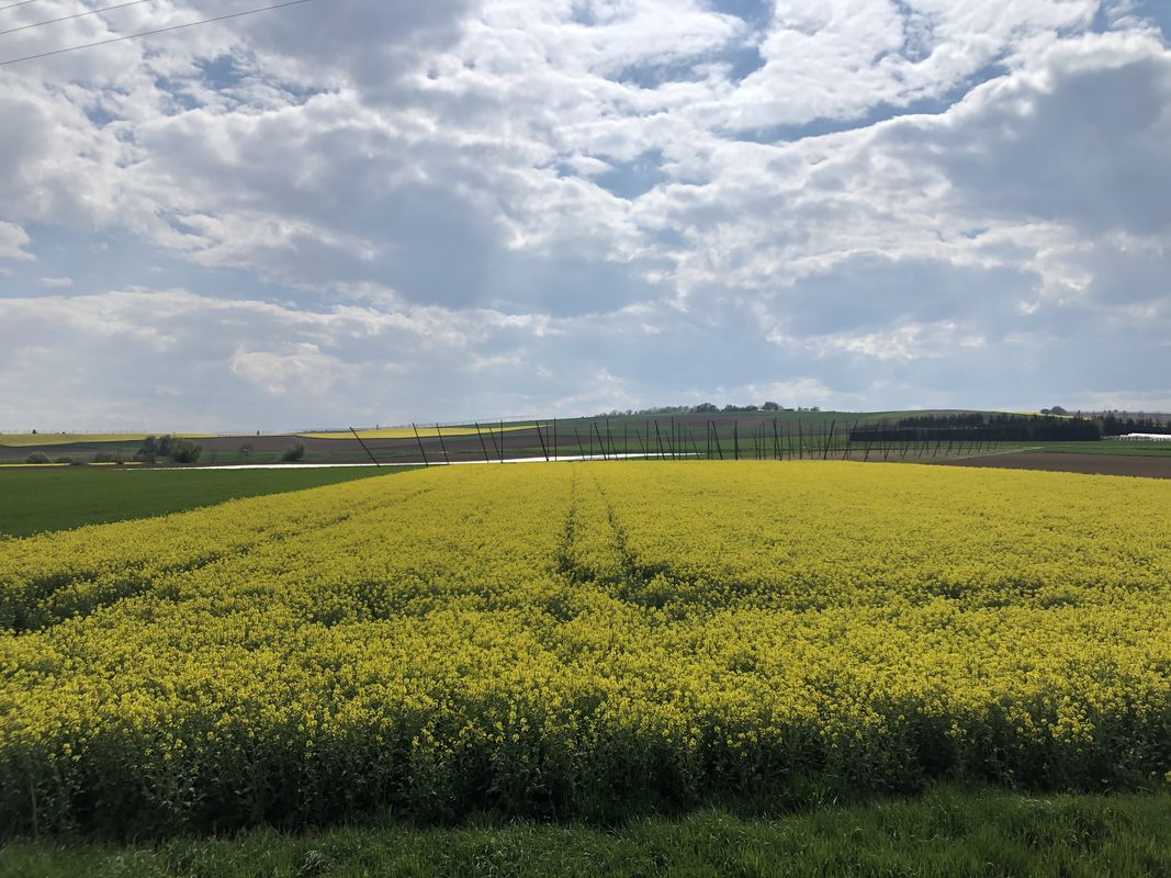 [DAY 11] Xouaxange - Vendenheim