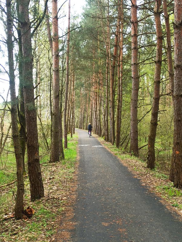 Lubińska 51, Obora do Lubińska 51, Obora