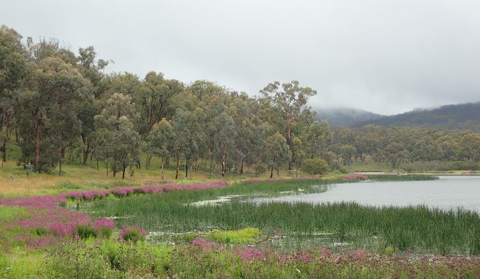 Foto 2 der Bikemap-Route "Ride to Dumaresq dam"