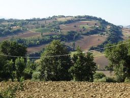Punto saliente 3 lungo il percorso Bikemap "I Barchi - Pergola Region Marken "