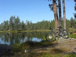 Highlight 4 along the Bikemap route "S Arvidsjaur Vuollejaur_Medium"