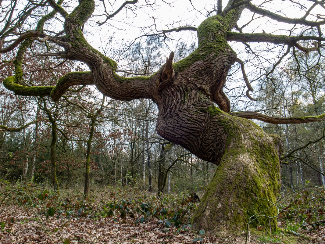 HB - Fischerhude - Buchholz/Kratteichen - Bassen - Achim - Thedinghausen - Weyhe
