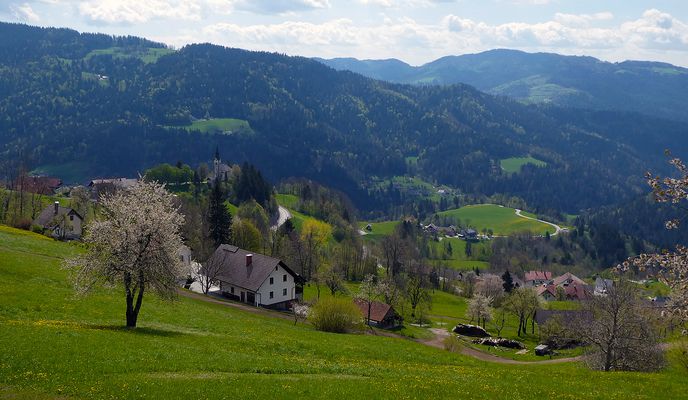 Photo 1 of the Bikemap route "Gorenja vas circle"