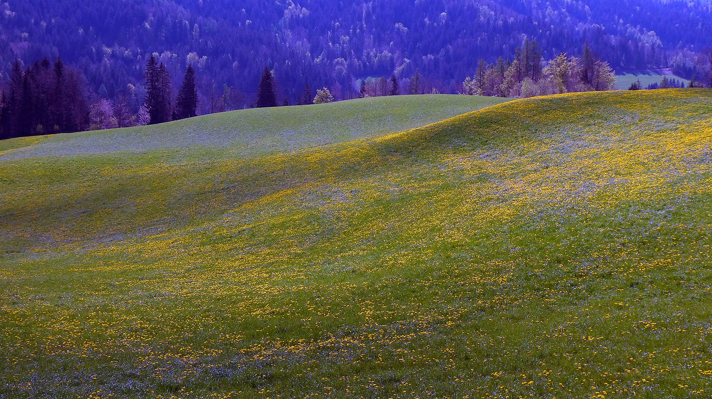 Gorenja vas circle