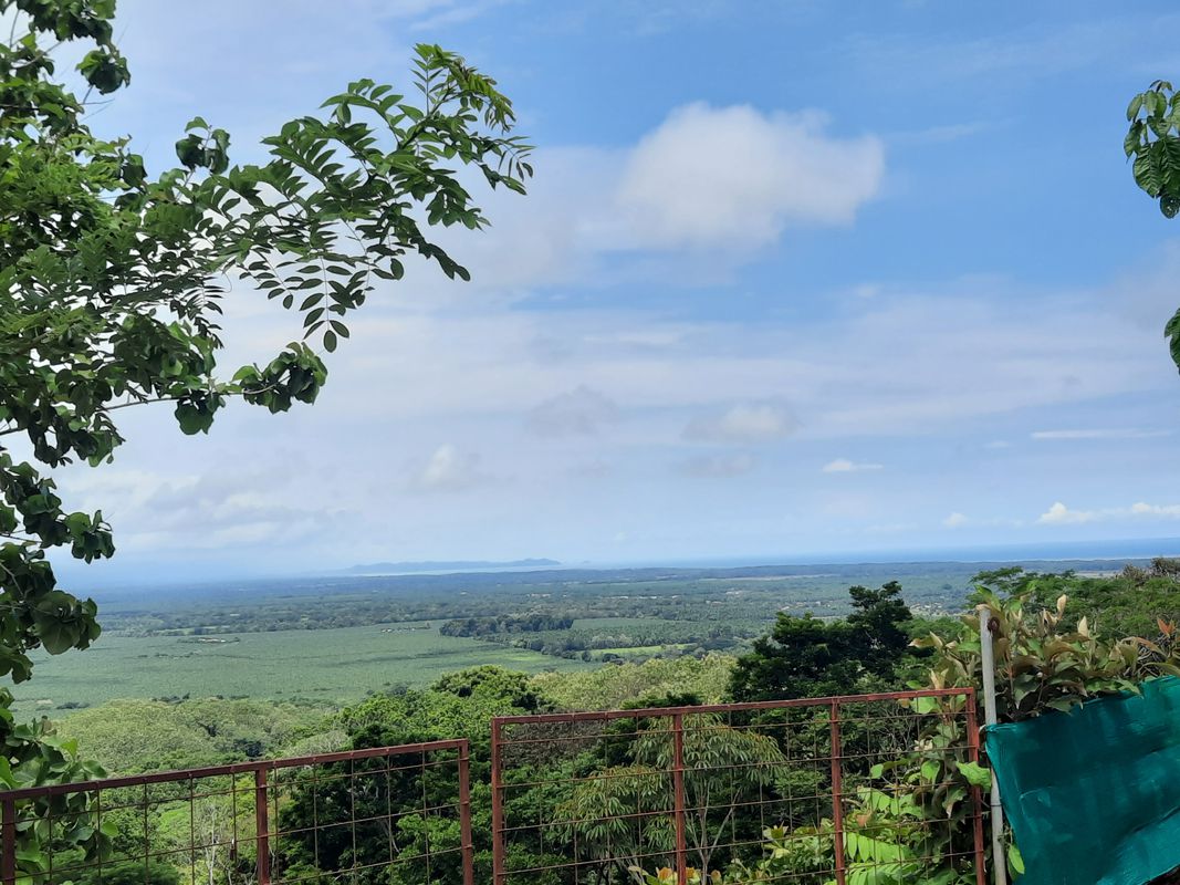 Playón Sur - Guapinol