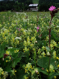 Punto saliente 3 lungo il percorso Bikemap "Marquartstein-Unken"