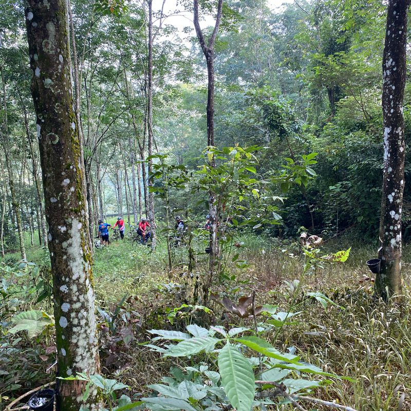 Route to Lorong Bidara 1, Kampung Berangan Sembilan