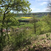 Von Ernsbach über Westernhausen Richtung Bieringen und vom Kloster Schöntal zurück