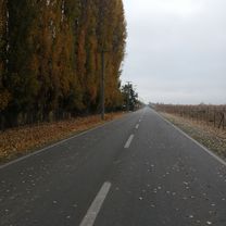 De Joaquín Edward Bello 1537, Curicó a Pasaje Rubén Darío 2042, Curicó