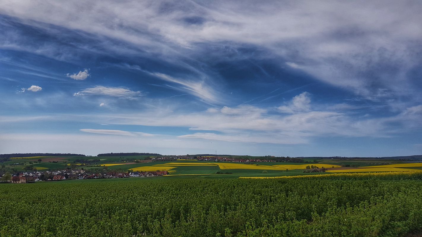Röllfeld - Apfelplantagen - Busigberg - Nebelkappe - Großheubach - Klotzenhof - Mönchberg - Mechenhard - Röllfeld