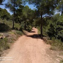 Photo 7 of the Bikemap route "Valencia - Naquera - Valencia"