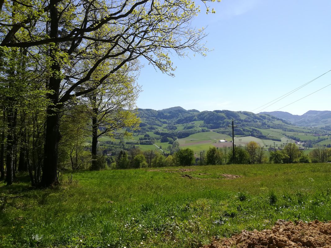 Alpenvorlandtour bei Oberndorf am 10  05 21