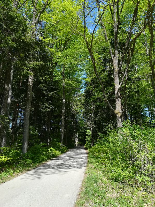 Alpenvorlandtour bei Oberndorf am 10  05 21