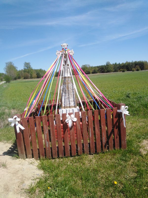 Brzóza Królewska do Brzóza Królewska