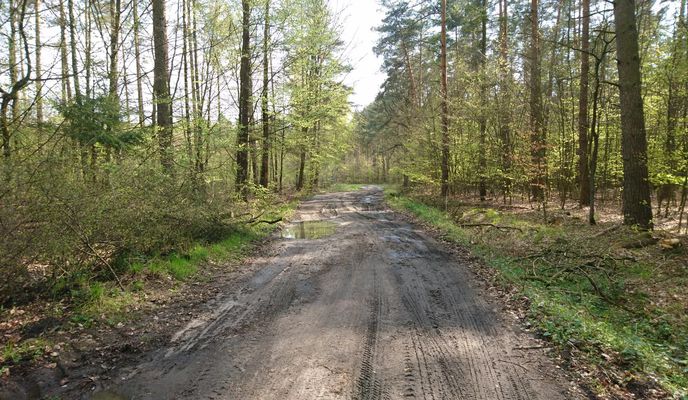 Photo 1 of the Bikemap route "Garbce - Milicz - Wrocław"