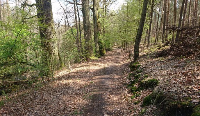 Photo 2 of the Bikemap route "Garbce - Milicz - Wrocław"