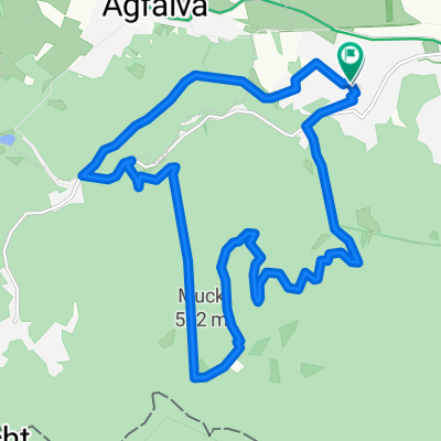 Szalamandra-Várhely-Muck-Ultra-Fehér forrás