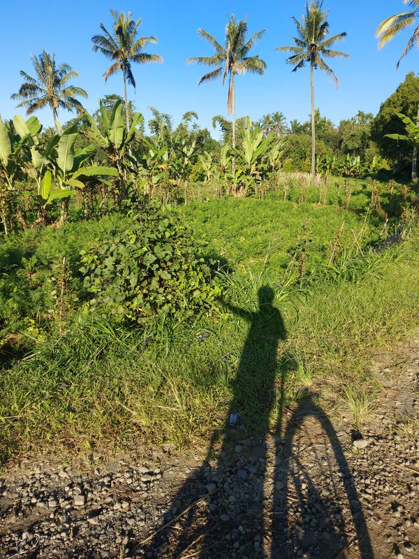 Jalan Raya Tetebatu, Sikur to Jalan Raya Tetebatu, Sikur