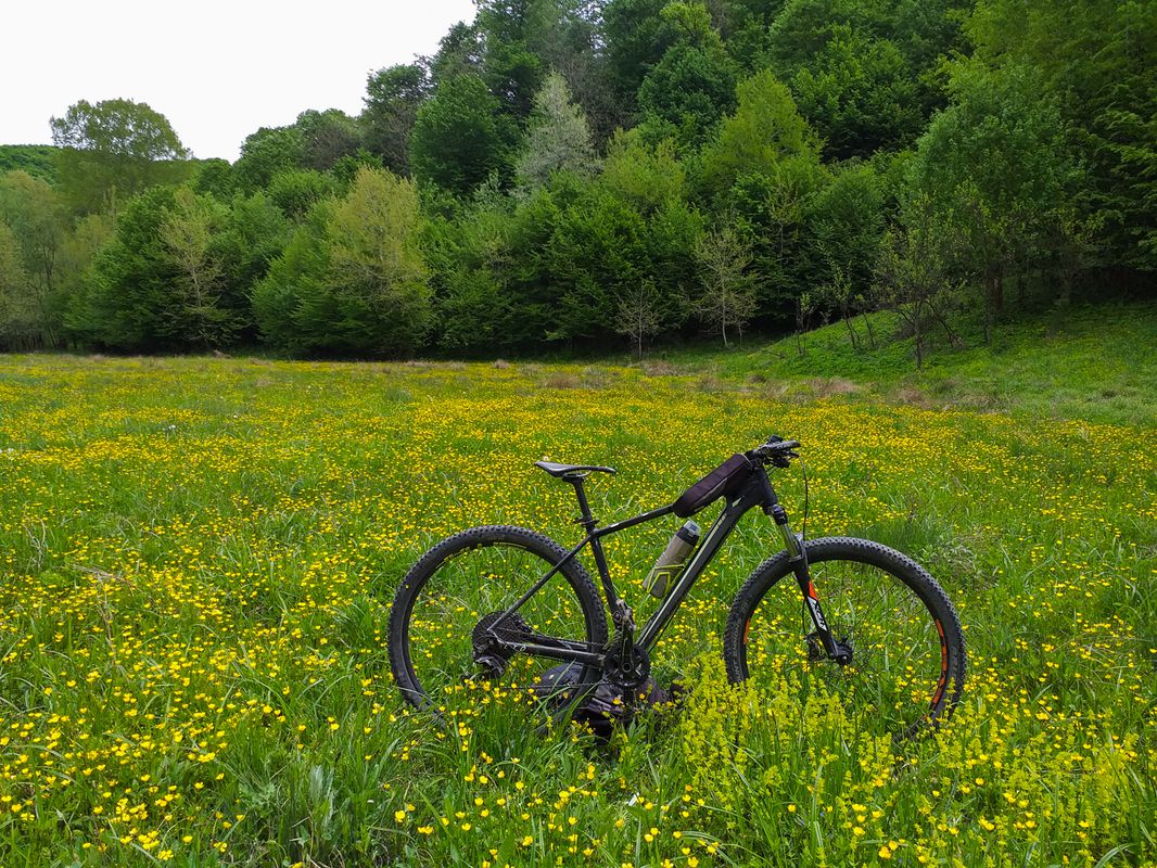 Viforata MTB Green 34 km Mnst. Viforata - Pd. Gorgota - Glodeni - La Releu - Pd. Aninoasa - Viforata (ADE 130)