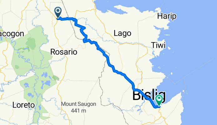 Osmeña Street 255, San Francisco to Surigao - Davao Coastal Road, Bislig