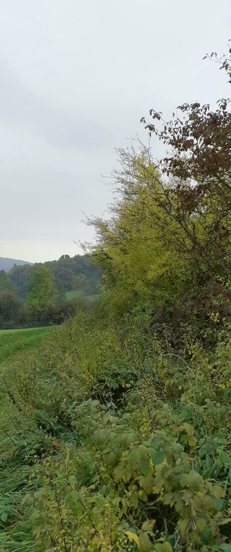Königsberger Straße 10, Eschershausen nach Königsberger Straße 8, Eschershausen