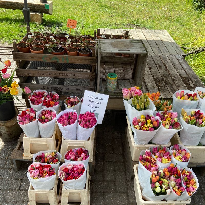 Afscheidsrondje door en langs de bloembollen 🌷