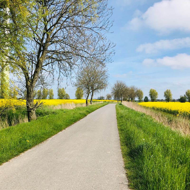 Weizenweg 3–11, Hinte nach Weizenweg 3–11, Hinte