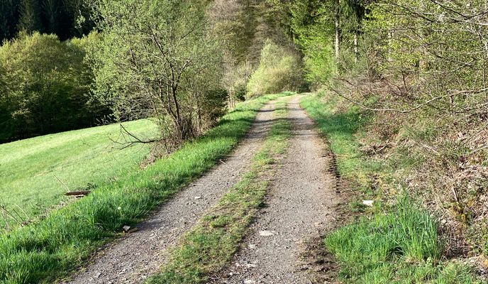 Foto 1 der Bikemap-Route "Unterstraße 1, Daleiden nach Unterstraße 2–4, Daleiden"