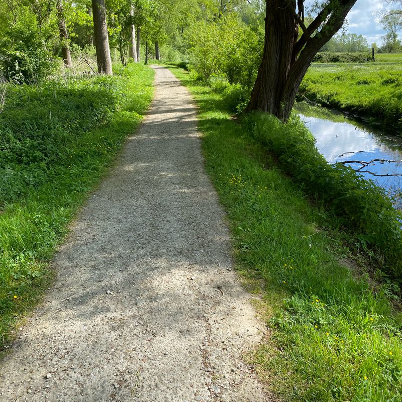 EBu-Berloz-Hannut-Berloz via L127 et balade du Geer