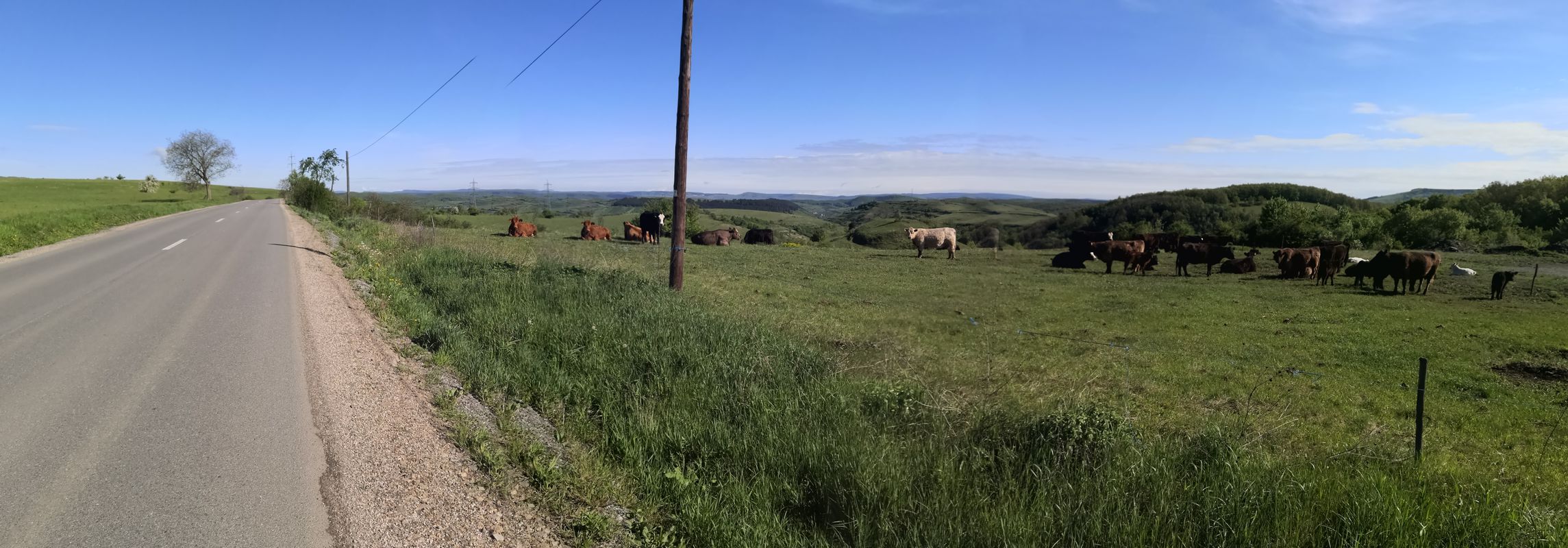 Calea Turzii 219, Cluj-Napoca to Strada Sextil Pușcariu 4, Cluj-Napoca