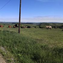 Calea Turzii 219, Cluj-Napoca to Strada Sextil Pușcariu 4, Cluj-Napoca