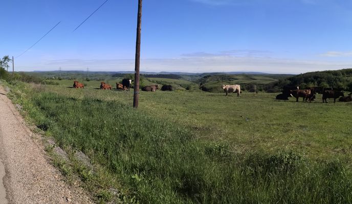 Foto 1 der Bikemap-Route "Calea Turzii 219, Cluj-Napoca to Strada Sextil Pușcariu 4, Cluj-Napoca"