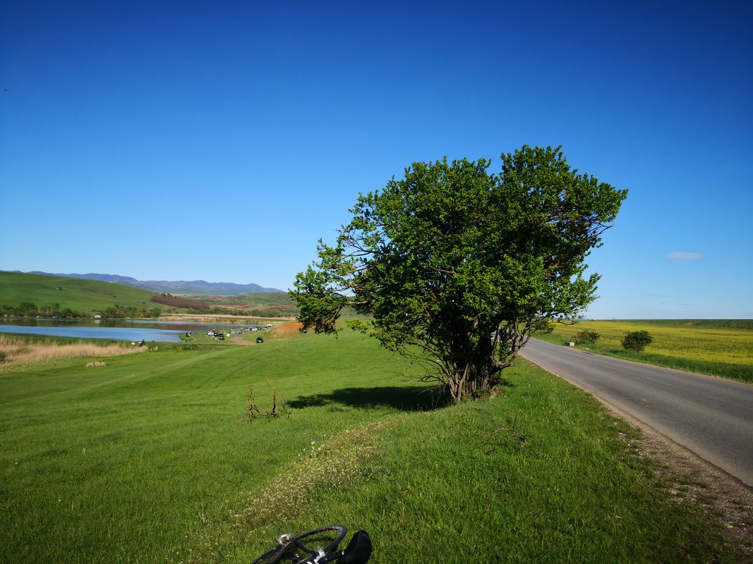 Calea Turzii 219, Cluj-Napoca to Strada Sextil Pușcariu 4, Cluj-Napoca