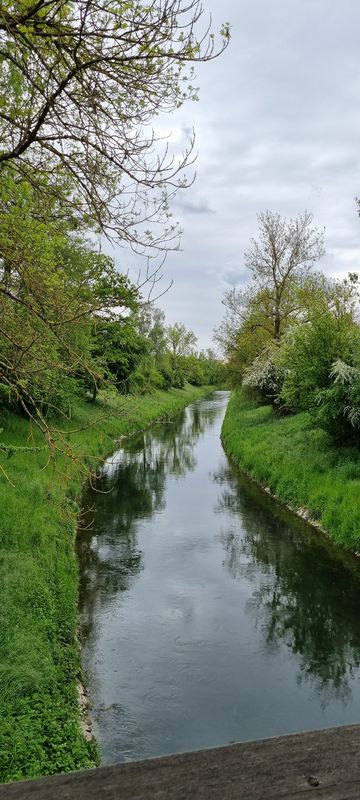 Kloten nach Hohenbühlstrasse 2, Opfikon