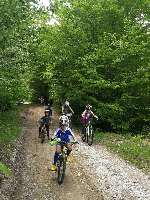 Mateiaș Augustin - tur&amp;retur